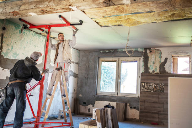 Best Geographic-Specific Insulation Services in Vermilion, OH