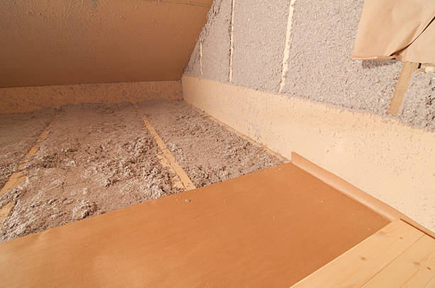 Best Eco-Friendly Insulation in Vermilion, OH