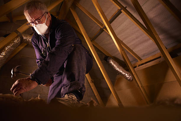 Best Energy Efficiency Insulation in Vermilion, OH