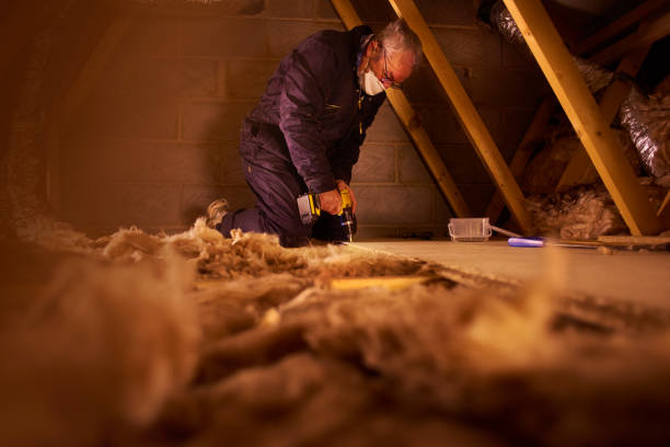 Best Cellulose Insulation in Vermilion, OH